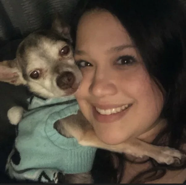 Missy with an older Chihuahua